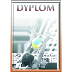 DYP81